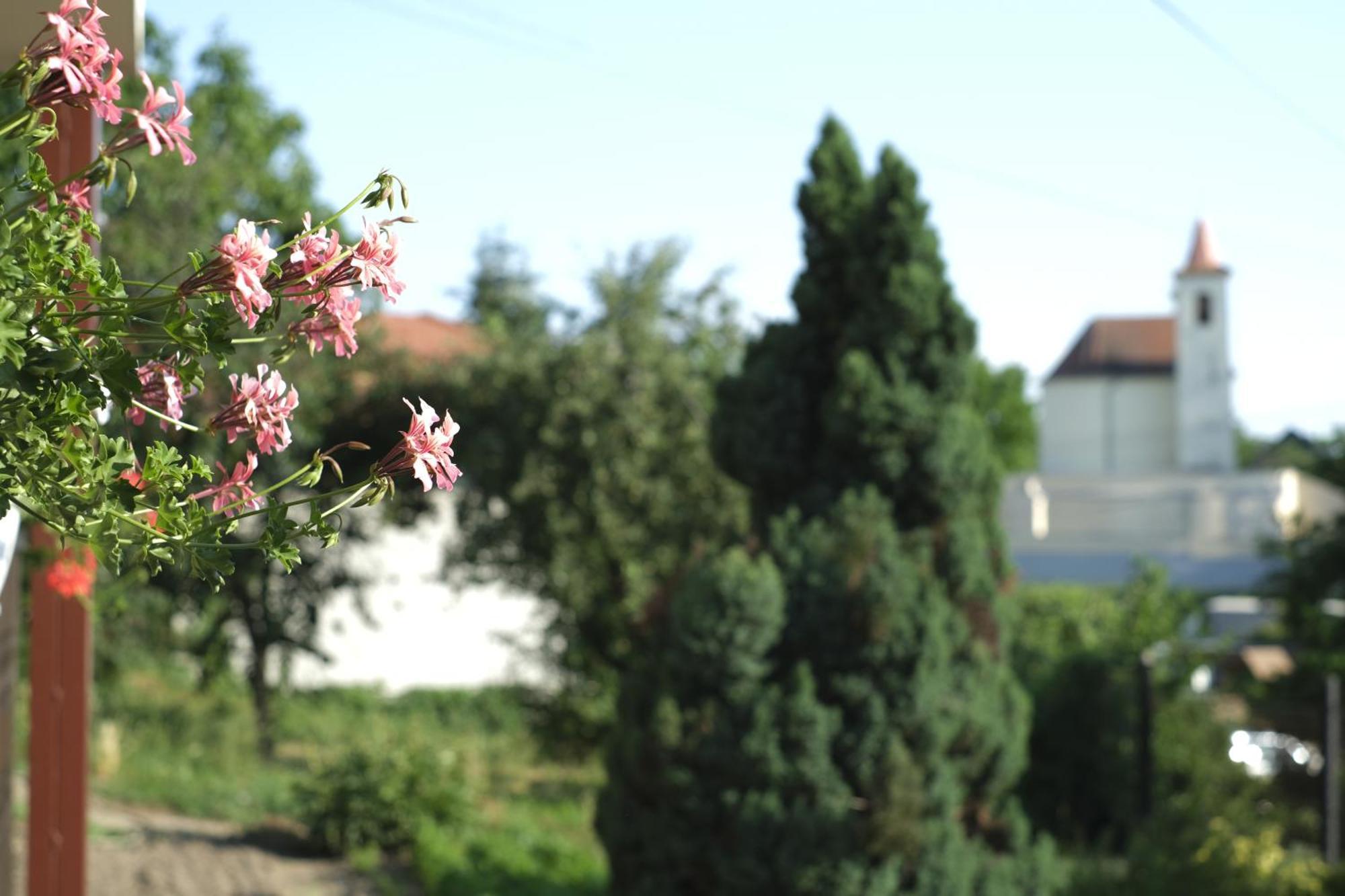 Panoráma